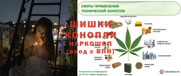 стафф Кулебаки