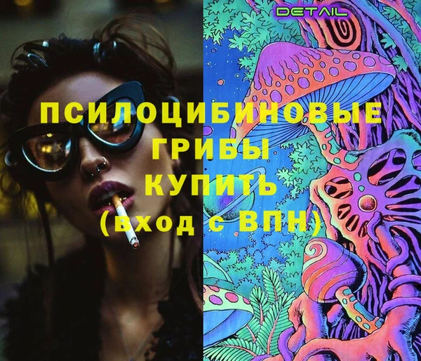 a pvp Кукмор