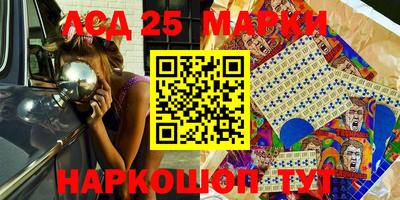 индика Гатчина