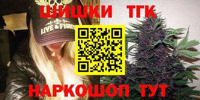 индика Гатчина