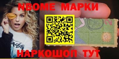 индика Гатчина