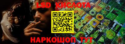 дурь Гай