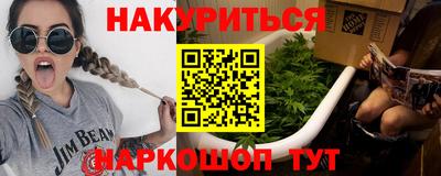 индика Гатчина