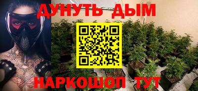 индика Гатчина