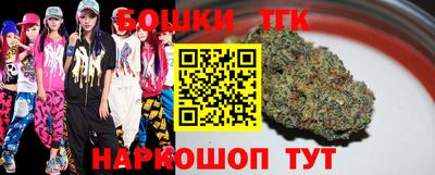 индика Гатчина