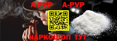 индика Гатчина