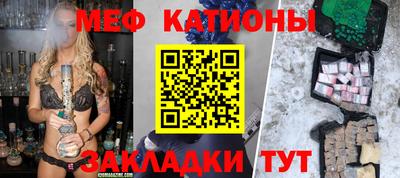 индика Гатчина