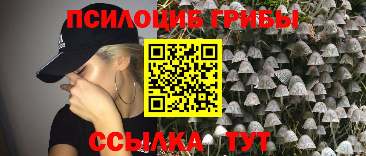 Псилоцибиновые грибы мицелий  Салават 